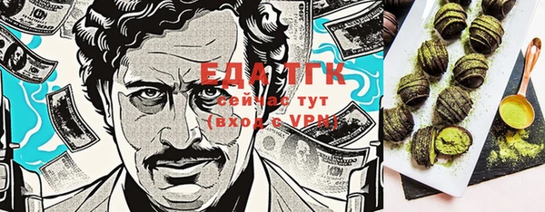 гидра Верхний Тагил