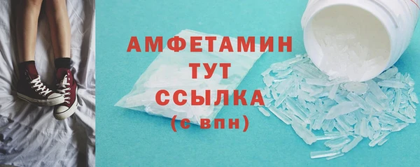 гидра Верхний Тагил