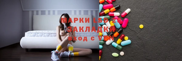 гидра Верхний Тагил
