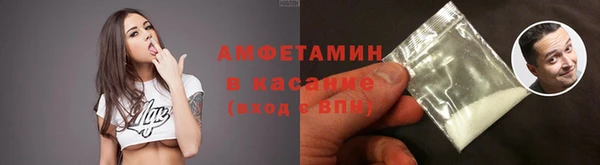 гидра Верхний Тагил