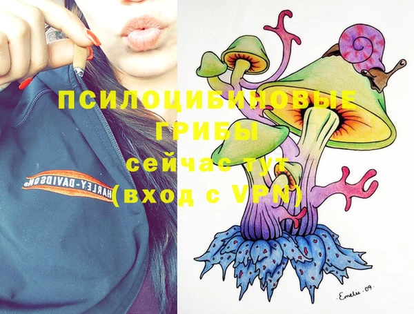 мяу мяу мука Россошь