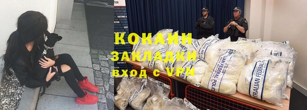 гидра Верхний Тагил