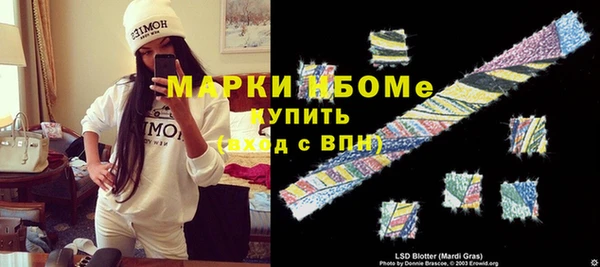 гидра Верхний Тагил