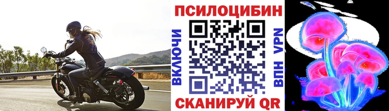 Псилоцибиновые грибы Magic Shrooms  купить наркотик  Медногорск 